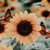 layla.perry - @layla.perry5 - TikTok