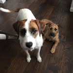 Layla & Riley - @layla_and_riley - Instagram