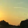Layla Stein - @layla22116 - TikTok