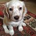 Layla Thomas - Facebook