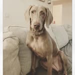 Layla Aries Welsh - @laylas.world2020 - Instagram