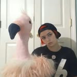 Layla Wheeler - @venomous_cherub - Instagram