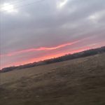 Layna_johnson - @layna_johnson4 - Instagram