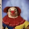 laynebell829 - @laynebell829 - TikTok