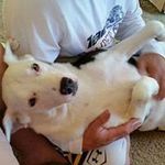 Rickey Layne Bennett - @rickeys_purpose - Instagram