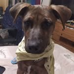 Buster Layne Bond - @busterlaynebond - Instagram