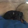 layne.bush - @layne.bush - TikTok