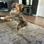 cooper - @cooperlaynestory - Instagram