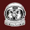 laynesdenton - @laynesdenton - TikTok