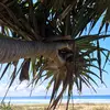 hello there - @layne.woodford - TikTok