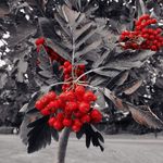 layne Hall - @lhall5070 - Instagram