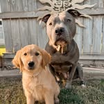 maci layne + honey bee - @macilayne_honeybee - Instagram