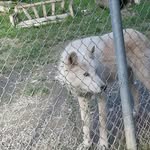 @layneholt2006 - Instagram