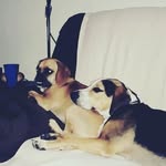 layne howell - @jaq_maria12 - Instagram