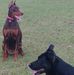 Layne Hunt - Facebook