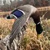Lunkerhuntlayne - @lunkerhuntlayne - TikTok