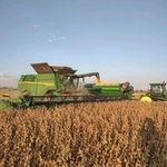 Lane Jensen - @lj_customfarmtoys - Instagram