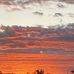 Layne Johnston - Facebook