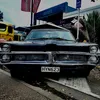 Layne.johnston - @layne.johnston - TikTok