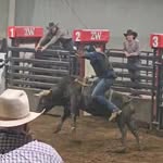 Layne King - @layne_king17 - Instagram