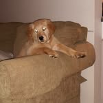 layne_king - @layne_king442 - Instagram
