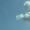lago.layne.lee - @lago.layne.lee - TikTok