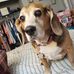 Layne Lovell - Facebook