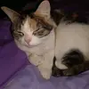 layla_i love sky - @laylalundstrom - TikTok