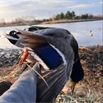 Layne Olson - Facebook