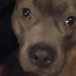 Tristan Layne Olson - @xd_longshot - Instagram
