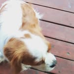 Layne Stoneman - @laynestoneman - Instagram