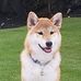 Layne Tanaka - Facebook