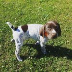 Layne Walters - @walters_layne - Instagram