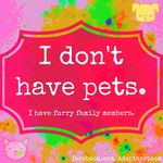 Avery Layne Ward - @furry_family_members - Instagram