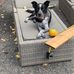 Layne Ward - Facebook