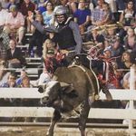 Layne Ward - @layneward13 - Instagram