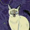 jalayneweeks1 - @jalayneweeks1 - TikTok