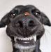 Layne Weeks Gollier - Facebook