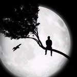 Layth Mohammed - @laith19888 - Instagram
