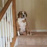 Clayton Ayers - @clayton.ayers.37 - Instagram