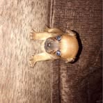 Layton Baxter - Facebook