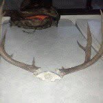 Layton Baxter - @hunting_is_in_my_blood_5x5 - Instagram