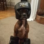 Layton Baxter - @layton_baxter12 - Instagram