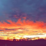 Clayton Beards Backup - @clayton_beard - Instagram