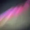 Layton Bell - @layton.bell3 - TikTok