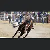 Layton Bird - @layton.bird06 - TikTok