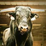 Layton - @layton_clark11 - Instagram
