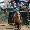 Clayton Combs - @clayton.combs4 - TikTok