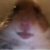 layton.cross123 - @layton.cross123 - TikTok