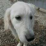 Clayton Cunningham - @cunningham.clayton - Instagram